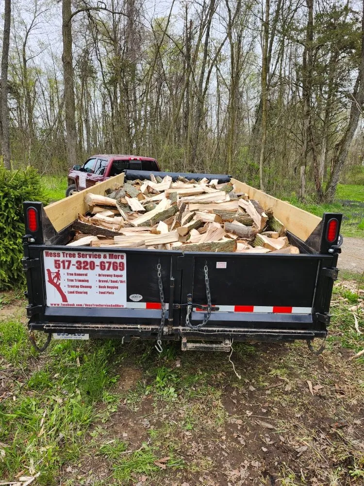 Expert outdoor landscaping in Hudson, MI by Hess Tree Service & More