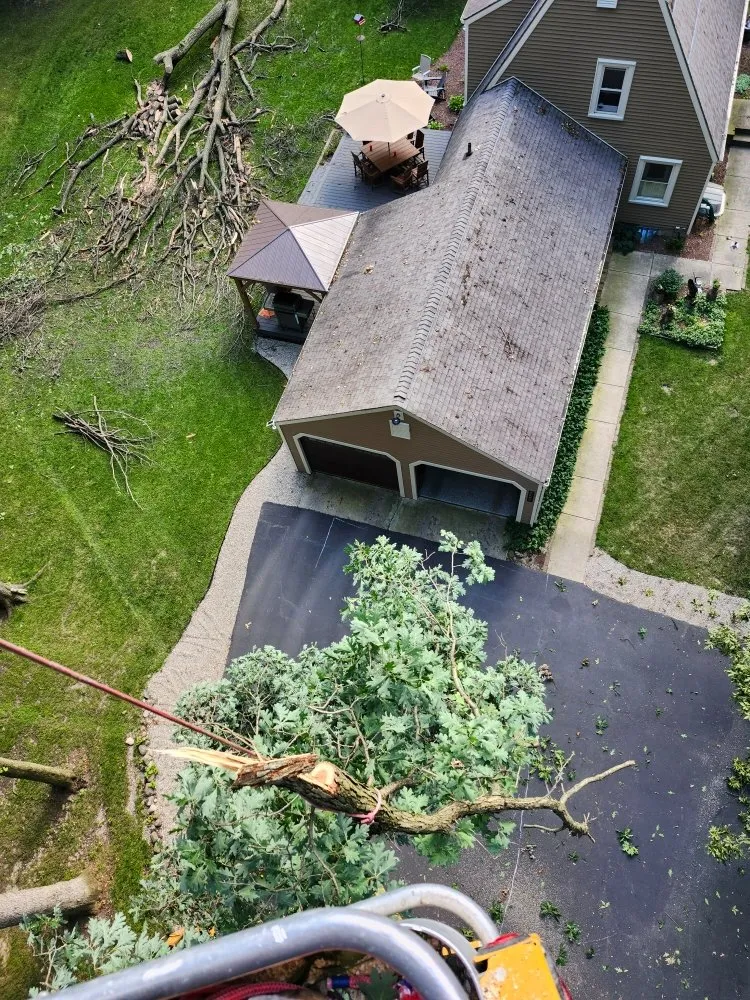 Reliable landscape design experts serving Hudson, MI - Hess Tree Service & More