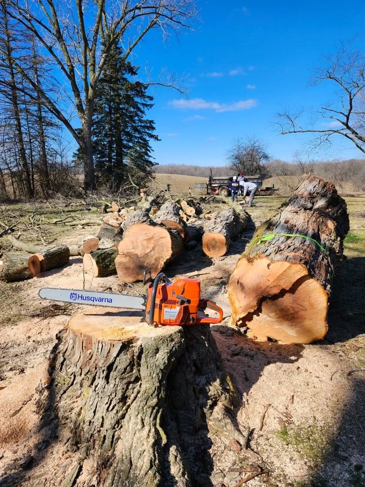 Top-rated lawn care service for homes in Hudson, MI by Hess Tree Service & More