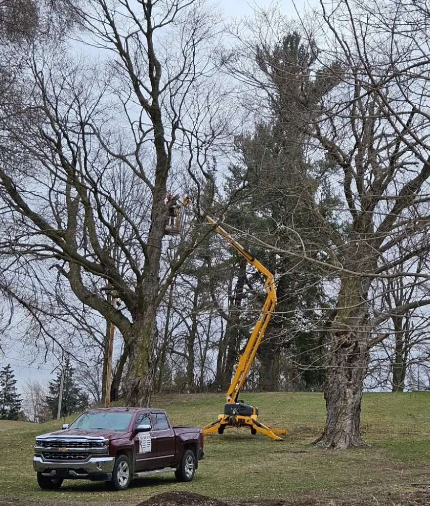 Custom yard maintenance experts serving Hudson, MI - Hess Tree Service & More