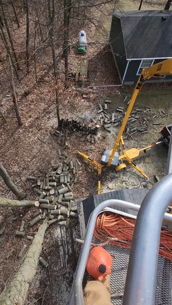 Expert garden landscaping in Hudson, MI by Hess Tree Service & More