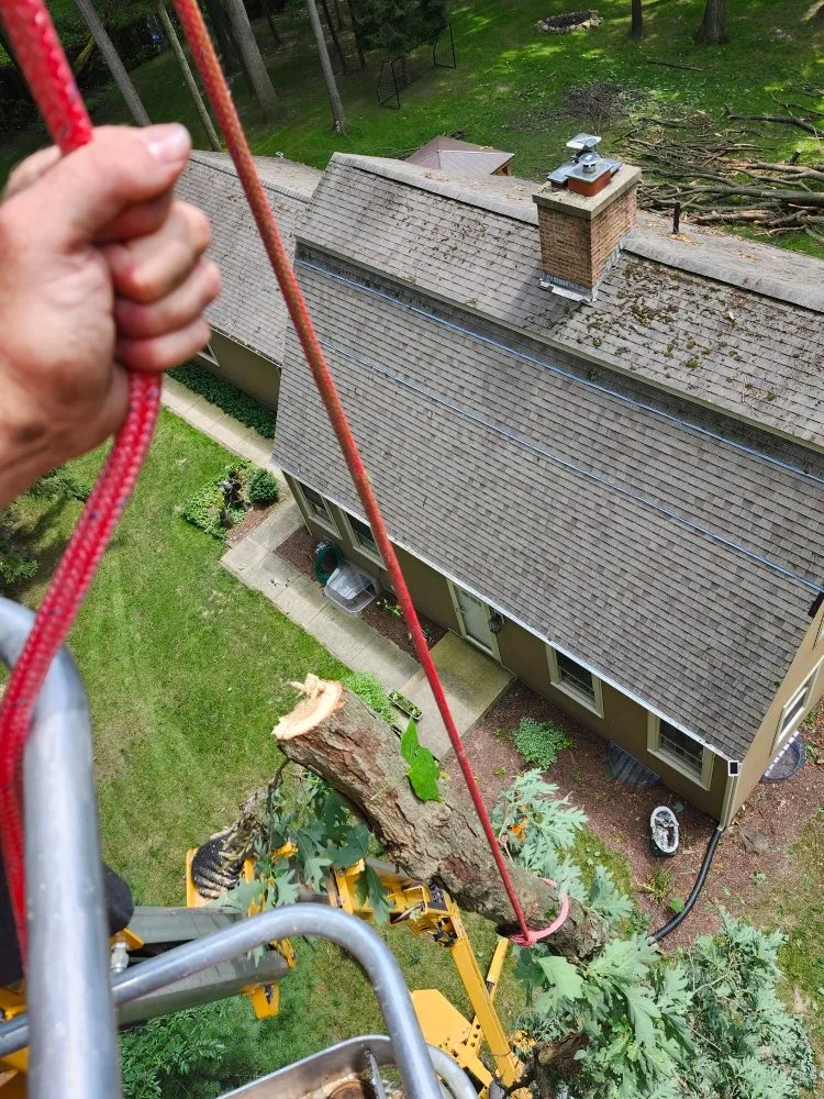 Affordable yard maintenance in Hudson, MI by Hess Tree Service & More