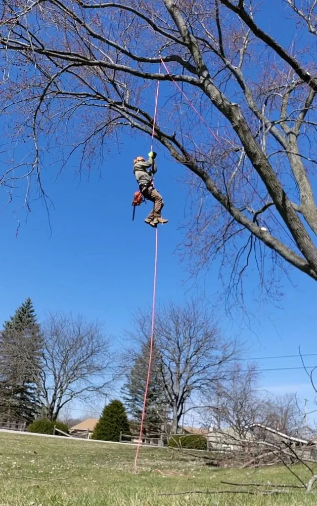 Trusted yard cleanup service in Hudson, MI by Hess Tree Service & More