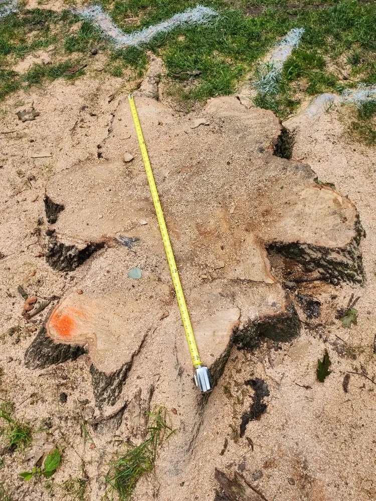 Affordable garden landscaping with custom design in Hudson, MI by Hess Tree Service & More