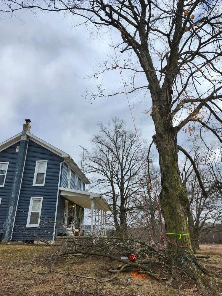 Top-rated lawn mowing service near you in Hudson, MI by Hess Tree Service & More