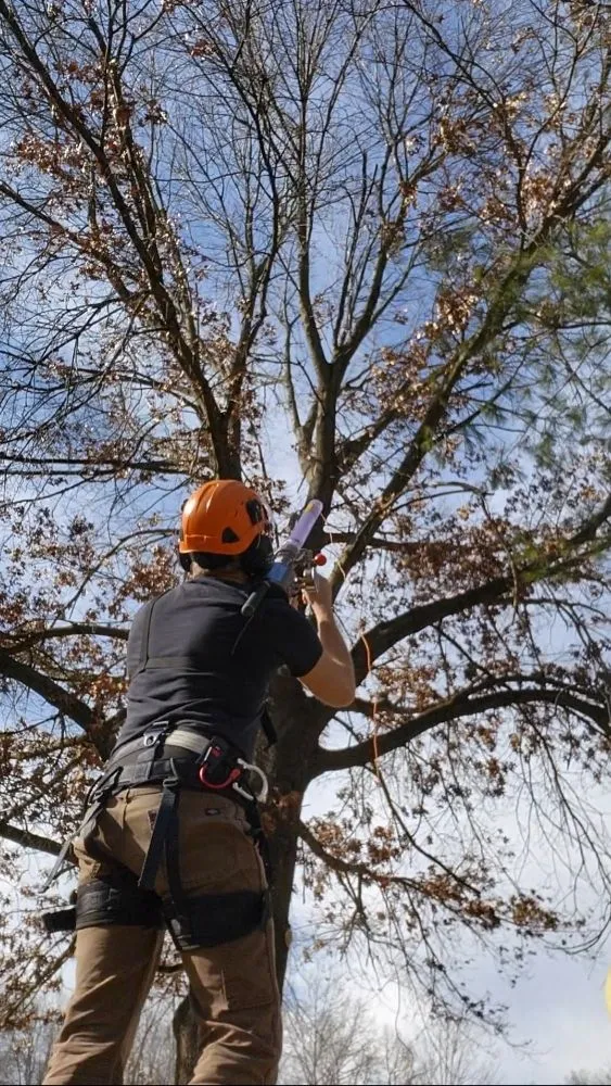Reliable outdoor landscaping in Hudson, MI by Hess Tree Service & More