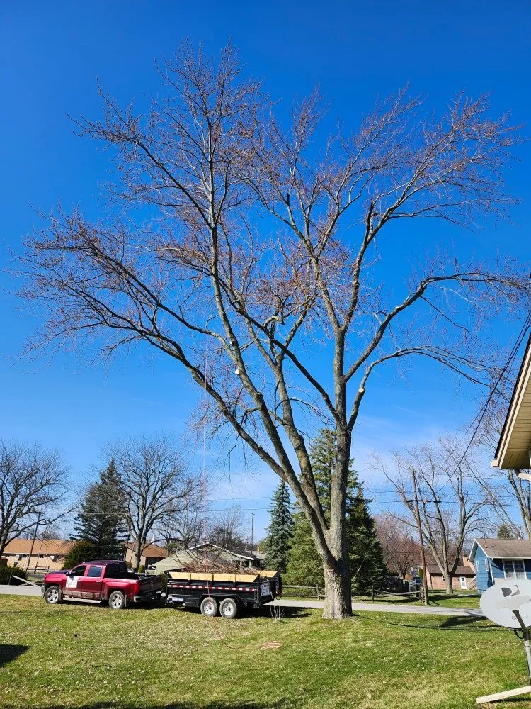 Expert lawn care service for year-round maintenance in Hudson, MI by Hess Tree Service & More