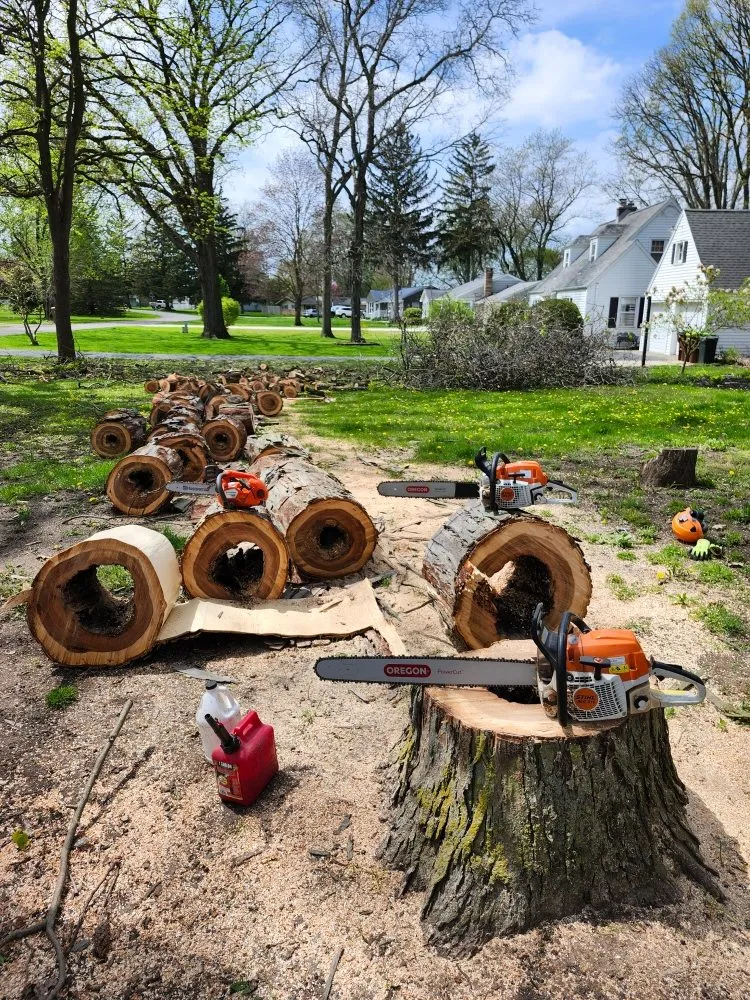 Custom lawn mowing service in Hudson, MI by Hess Tree Service & More