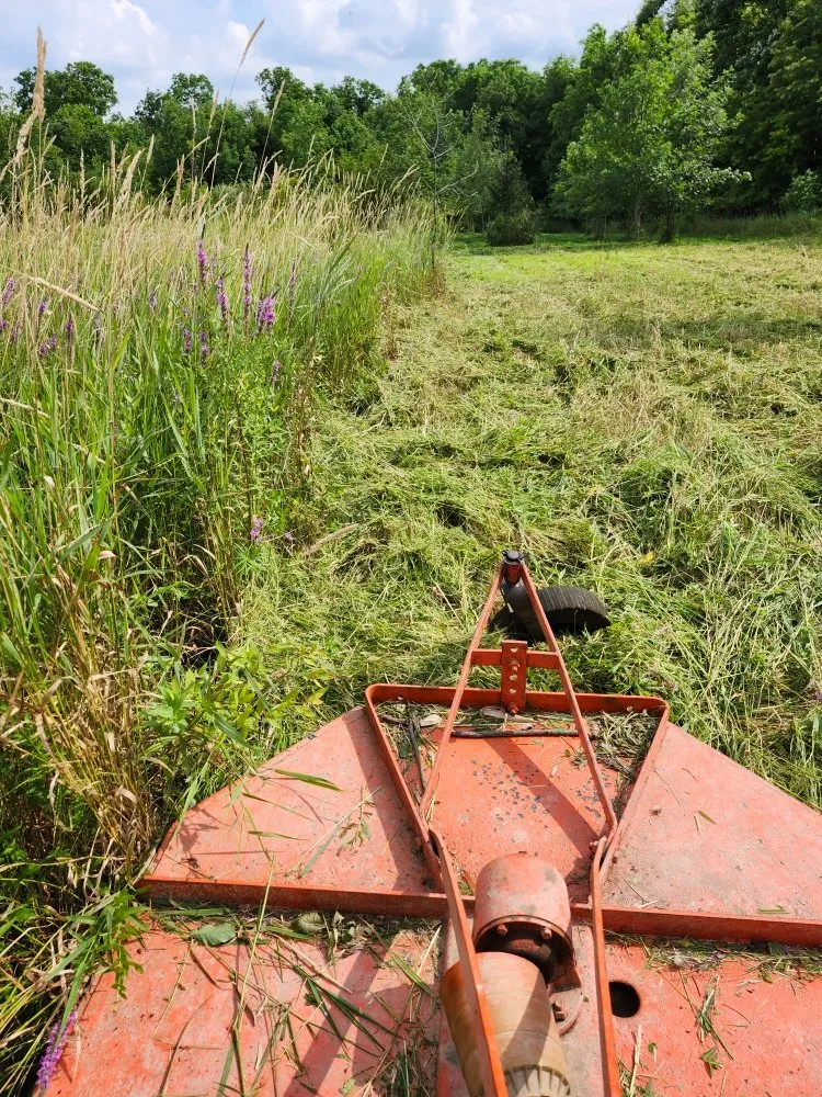 Trusted landscaping services for outdoor upgrades in Hudson, MI by Hess Tree Service & More