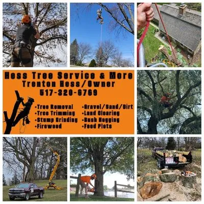 Hess Tree Service & More