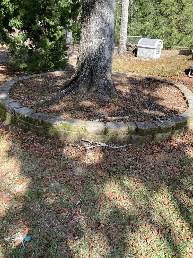 Trusted lawn mowing service experts serving Gulfport, MS - Hester Pressure Washing