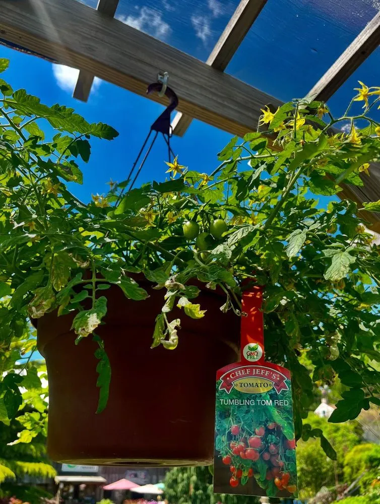 Local residential landscaping in Pottstown, PA - Hetrick Gardens Landscape & Nursery Center