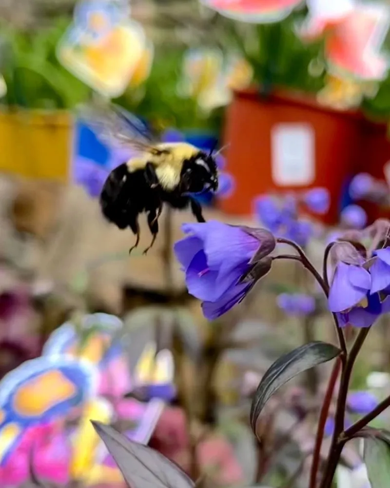 Top-rated landscape installation near you in Pottstown, PA by Hetrick Gardens Landscape & Nursery Center