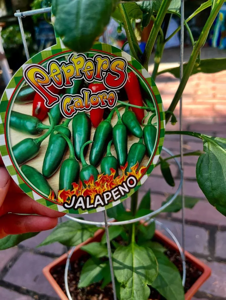 Local garden landscaping in Pottstown, PA - Hetrick Gardens Landscape & Nursery Center