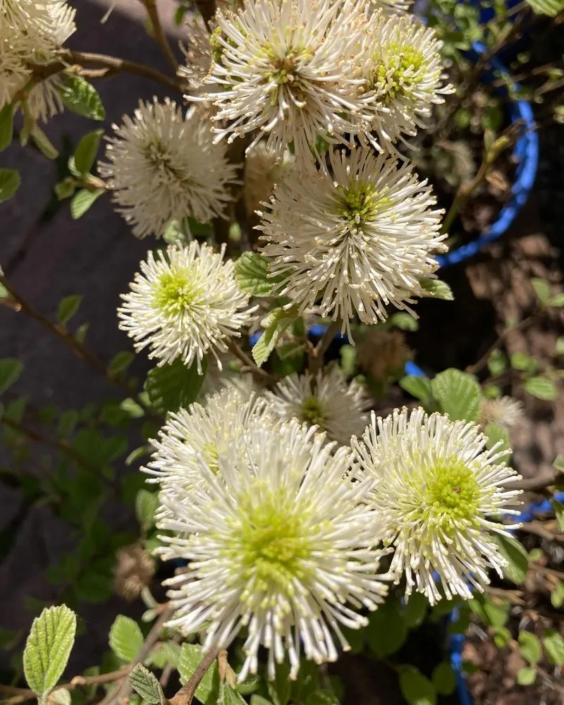 Local landscape installation in Pottstown, PA - Hetrick Gardens Landscape & Nursery Center