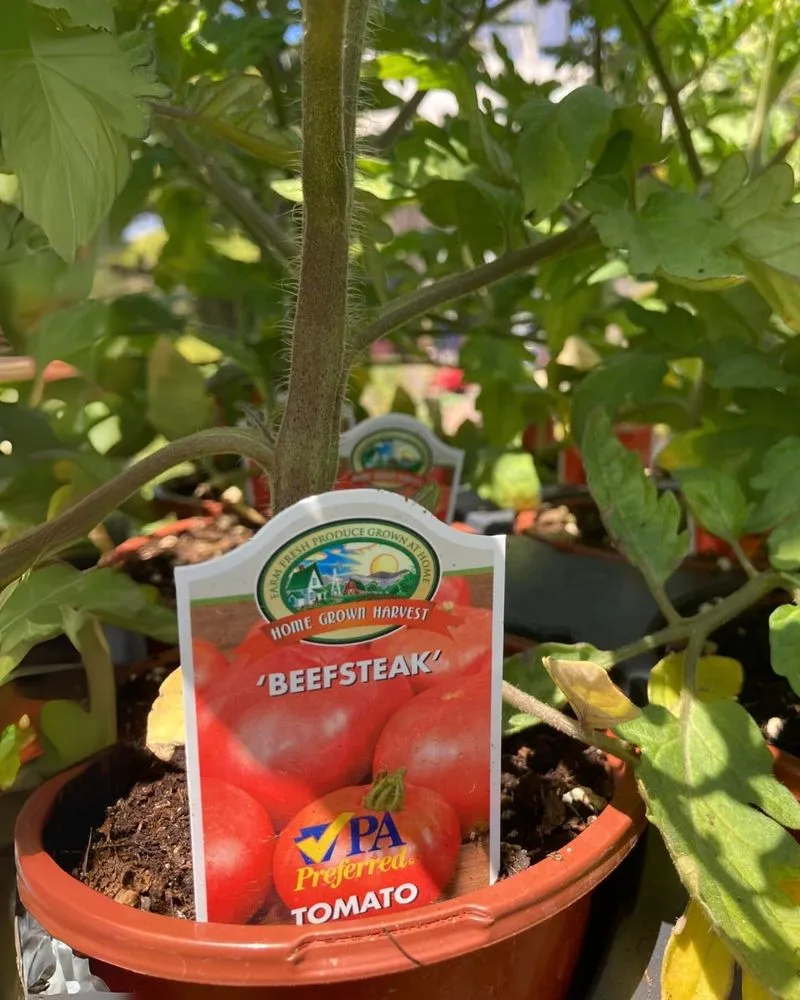 Trusted lawn care service experts serving Pottstown, PA - Hetrick Gardens Landscape & Nursery Center