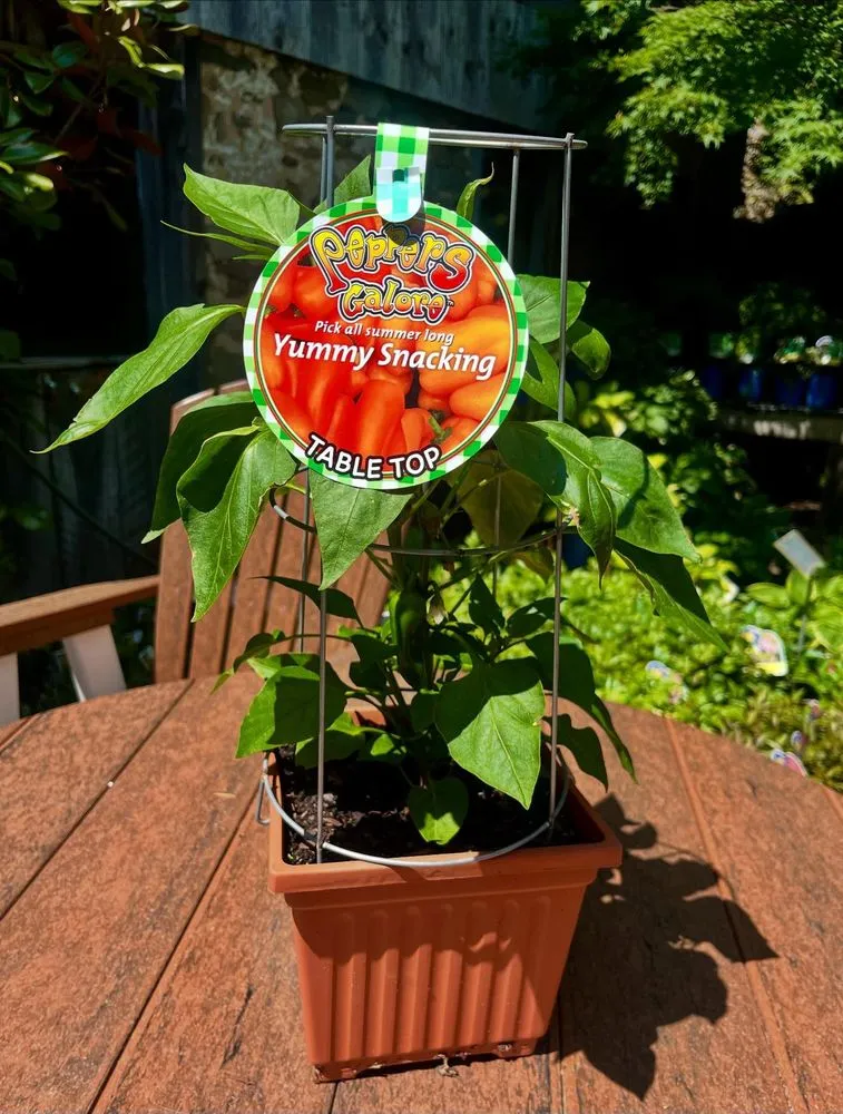 Custom lawn care service for outdoor upgrades in Pottstown, PA by Hetrick Gardens Landscape & Nursery Center