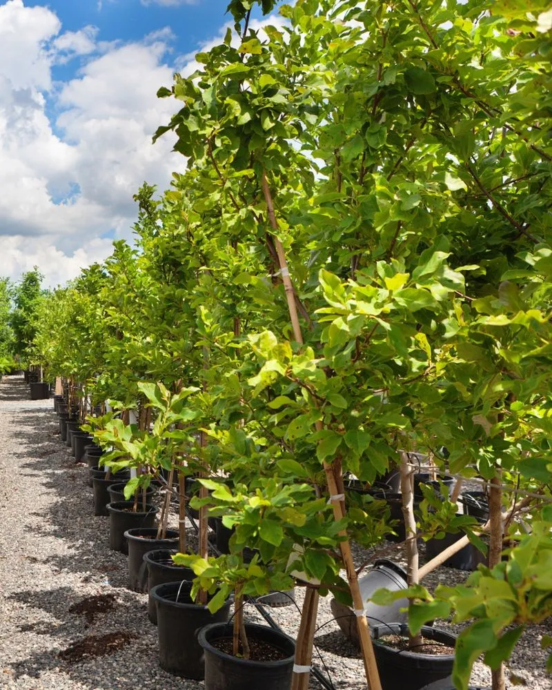 Local landscape installation in Pottstown, PA - Hetrick Gardens Landscape & Nursery Center