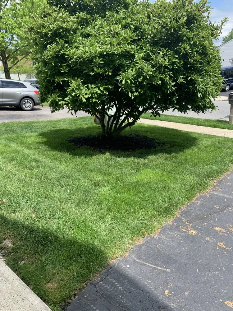 Reliable landscape installation for residential properties across Stewartsville, NJ - Hewins Family Lawn Care