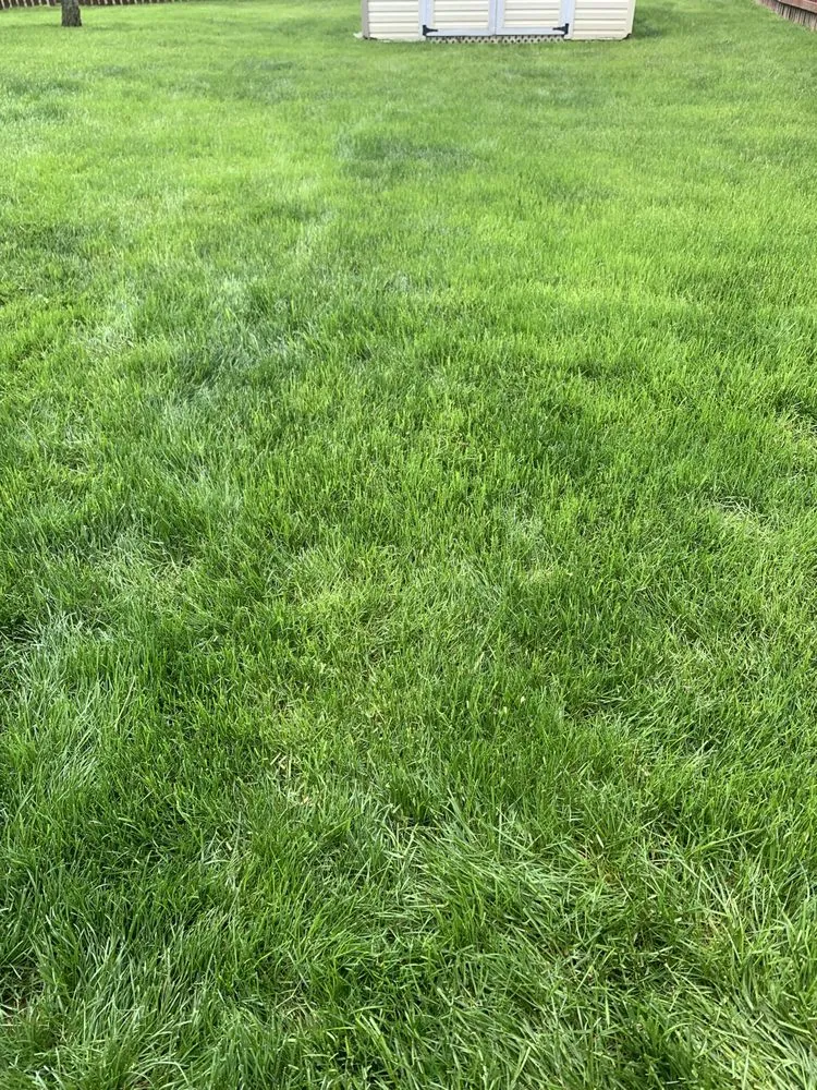 Trusted outdoor landscaping in Stewartsville, NJ by Hewins Family Lawn Care