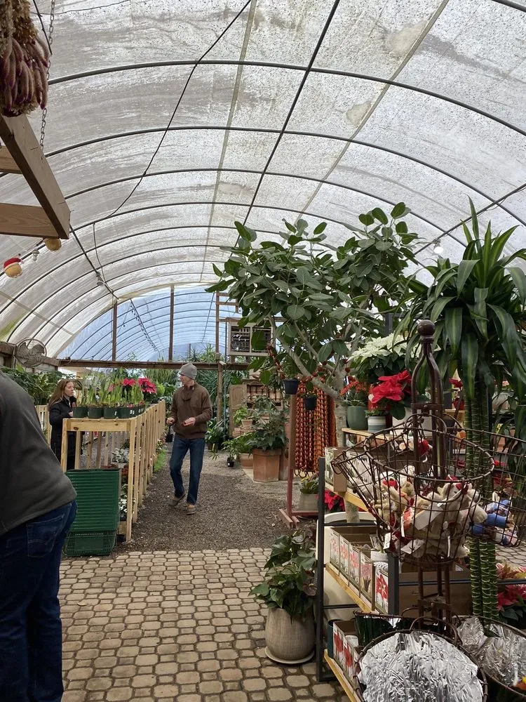 Top-rated landscape installation for residential properties across Franklin, TN - Hewitt Garden & Design Center