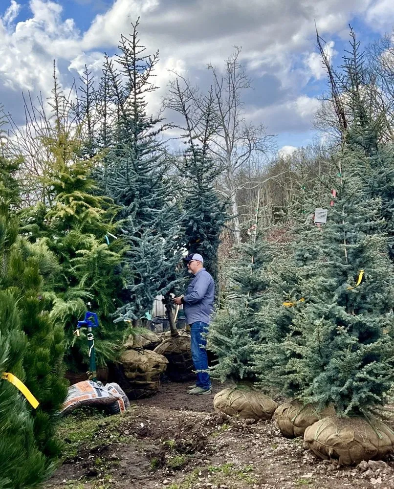 Reliable residential landscaping in Franklin, TN by Hewitt Garden & Design Center