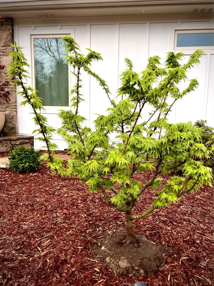 Top-rated residential landscaping experts serving Franklin, TN - Hewitt Garden & Design Center