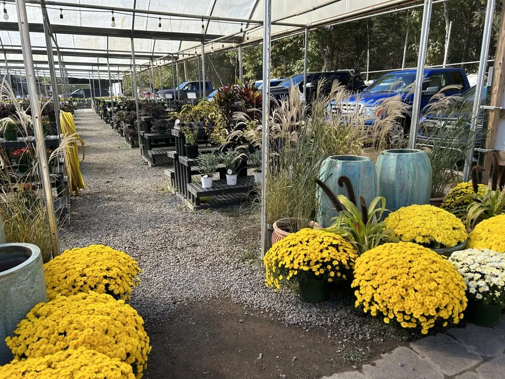 Professional residential landscaping for outdoor upgrades across Franklin, TN - Hewitt Garden & Design Center