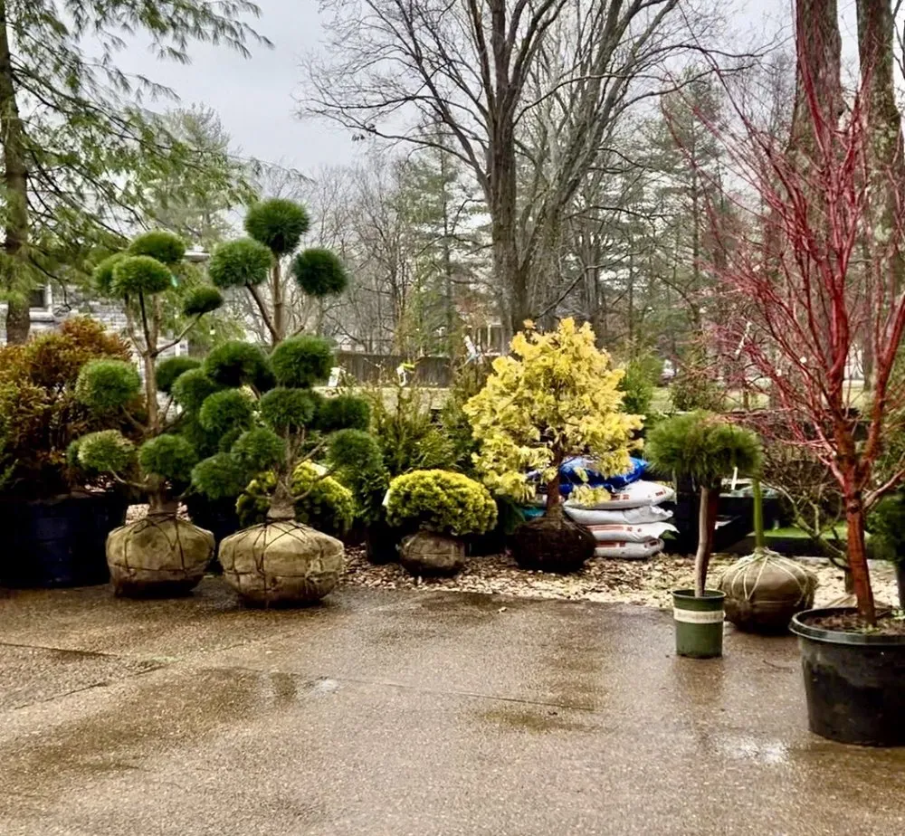 Professional landscape installation in Franklin, TN by Hewitt Garden & Design Center