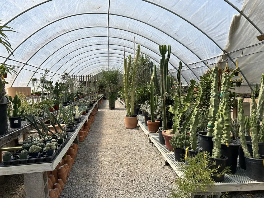 Custom yard maintenance in Franklin, TN - Hewitt Garden & Design Center