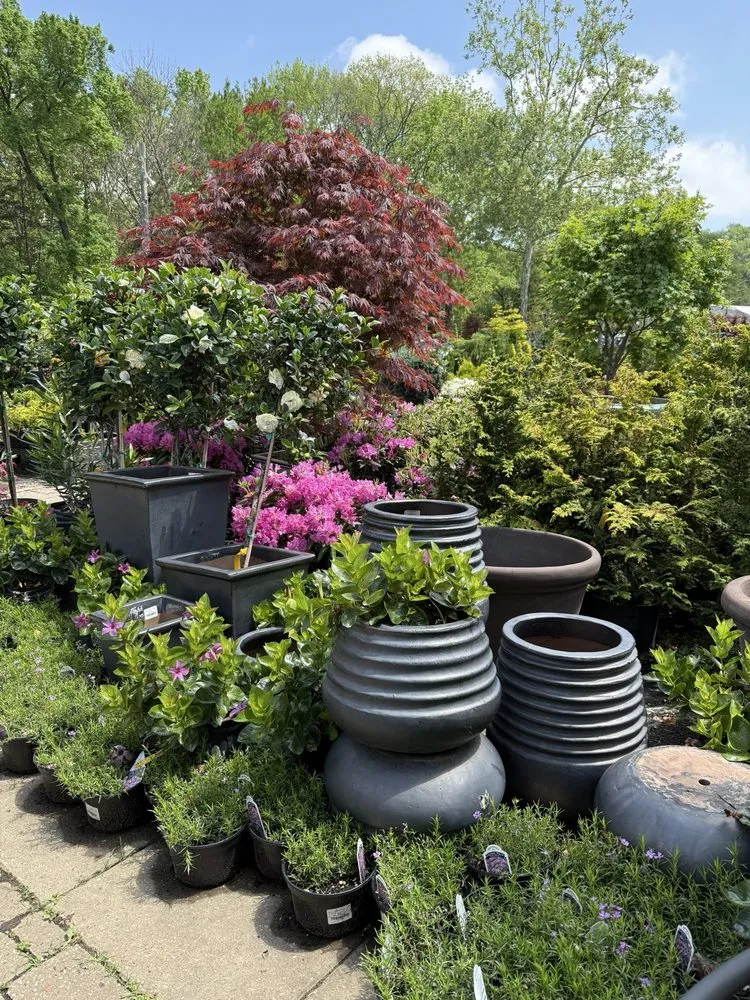 Custom yard maintenance in Franklin, TN by Hewitt Garden & Design Center