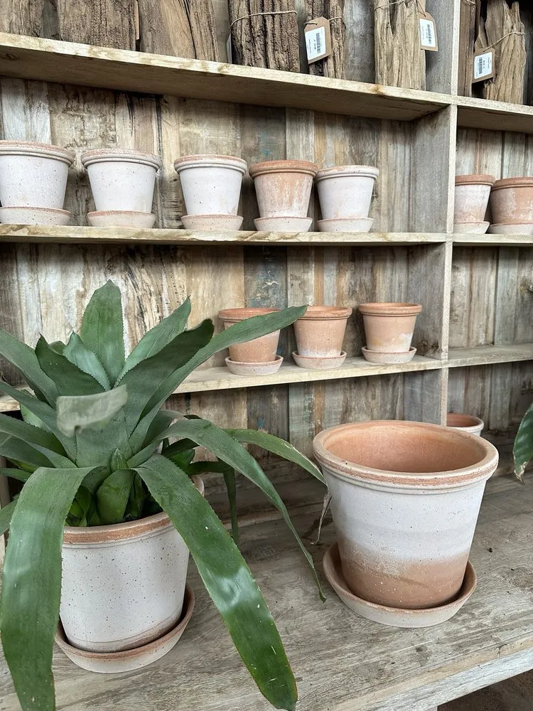 Local residential landscaping for year-round maintenance across Franklin, TN - Hewitt Garden & Design Center