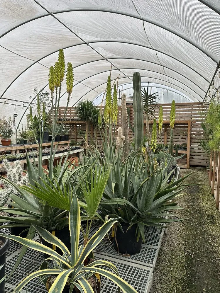 Affordable lawn care service with custom design in Franklin, TN by Hewitt Garden & Design Center