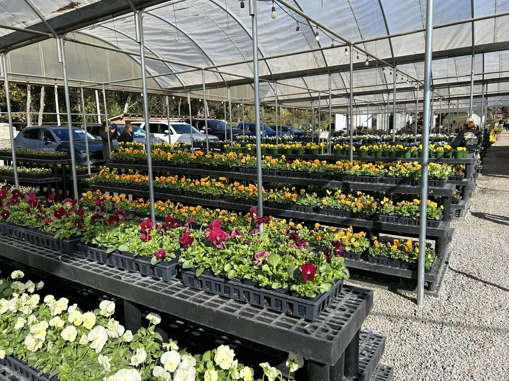 Trusted landscape design experts serving Franklin, TN - Hewitt Garden & Design Center