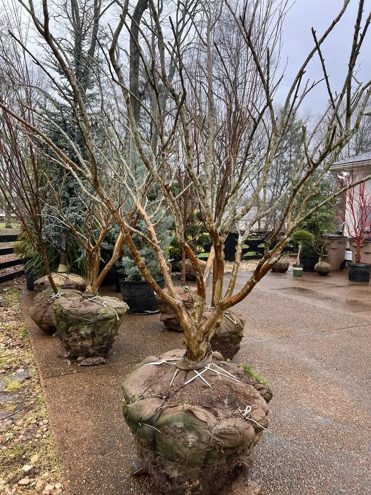 Affordable landscaping services in Franklin, TN by Hewitt Garden & Design Center