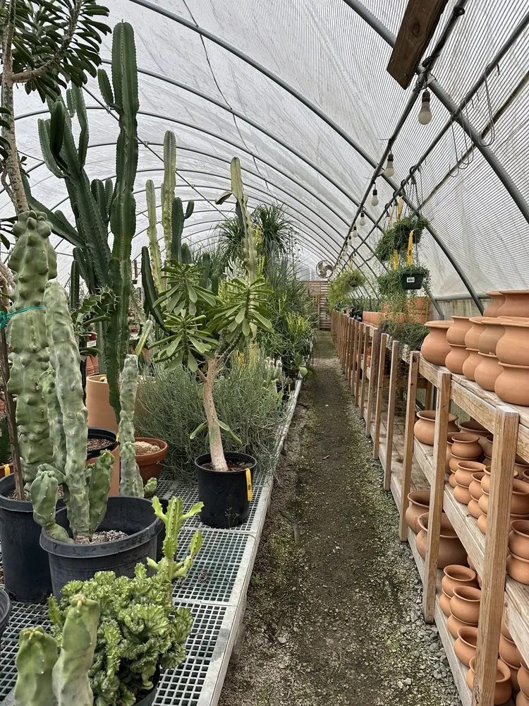 Professional outdoor landscaping with custom design across Franklin, TN - Hewitt Garden & Design Center