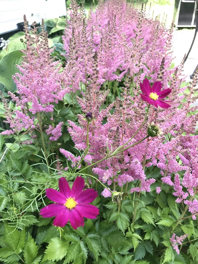 Reliable yard maintenance experts serving Norwood, NJ - Hewitt Landscaping