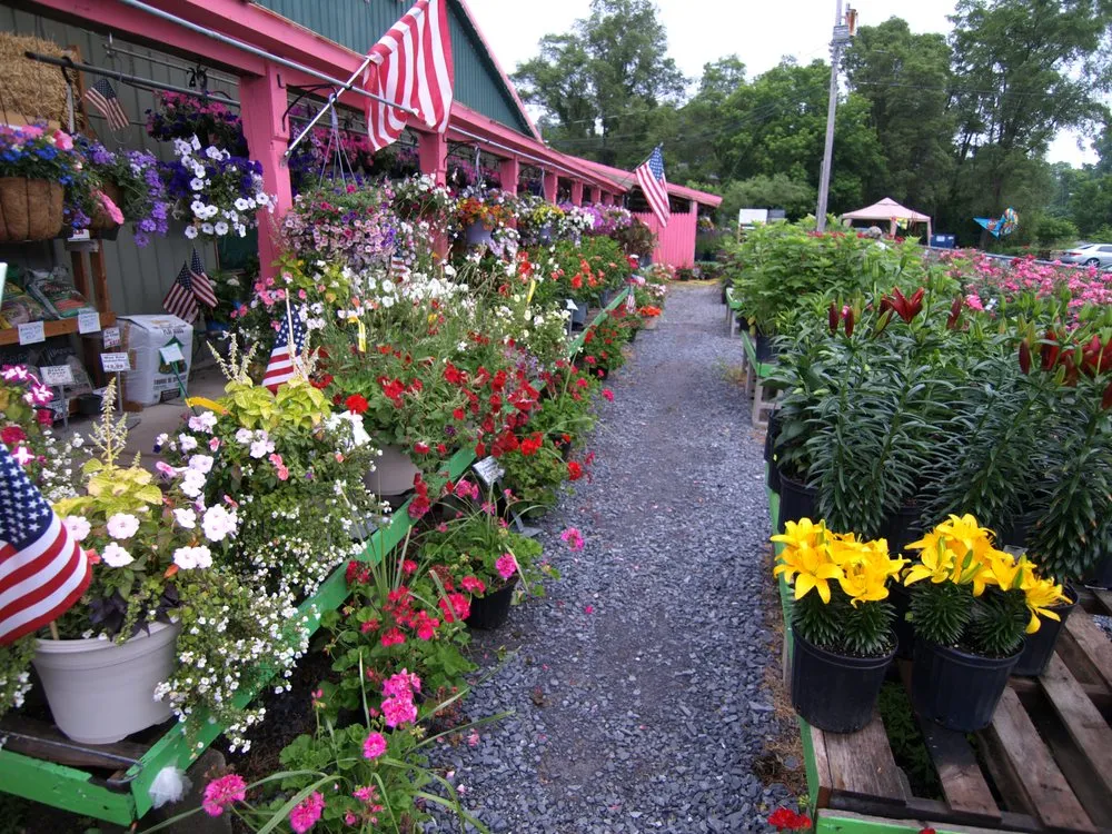 Local outdoor landscaping in Albany, NY by Hewitt's - Guilderland