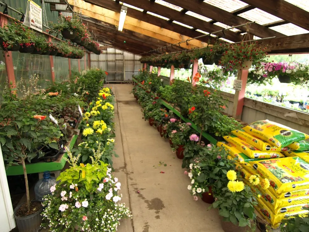 Expert outdoor landscaping in Albany, NY - Hewitt's - Guilderland