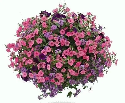 Top-rated garden landscaping for beautiful yards across Albany, NY - Hewitt's - Guilderland