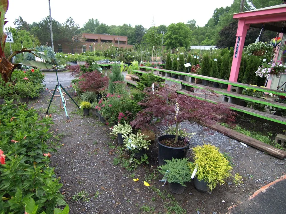 Top-rated yard cleanup service experts serving Albany, NY - Hewitt's - Guilderland