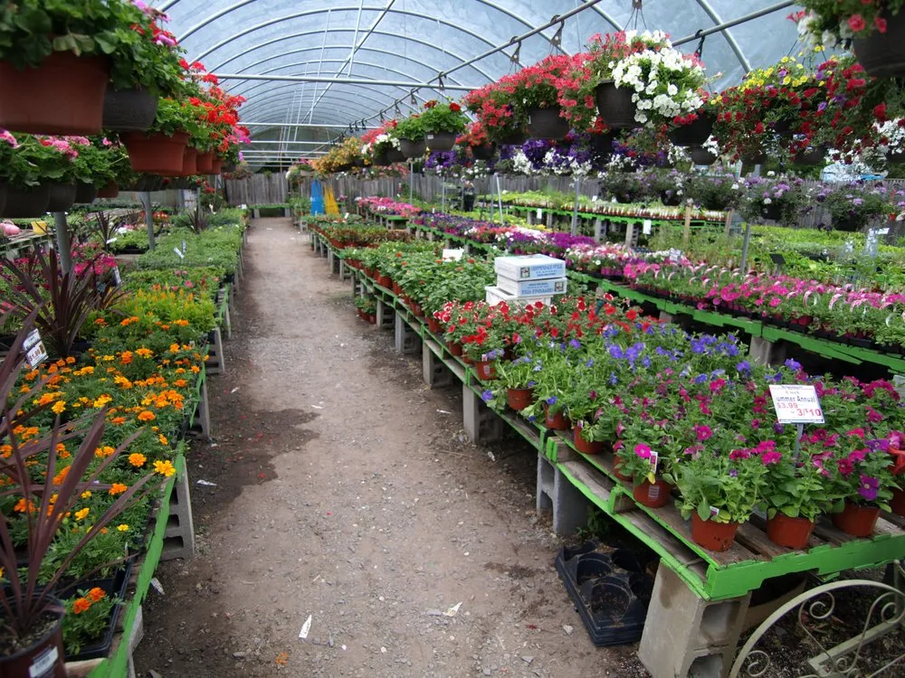 Custom outdoor landscaping in Albany, NY - Hewitt's - Guilderland