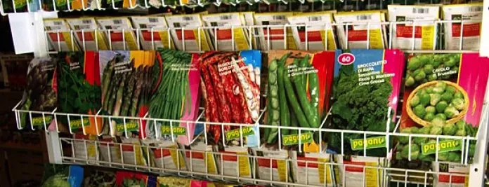 Local yard maintenance in Queensbury, NY by Hewitts Garden Center- Queensbury