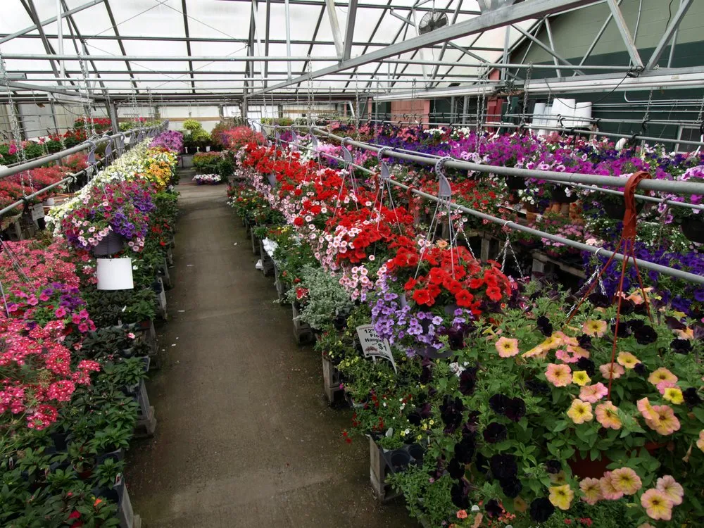 Local residential landscaping for outdoor upgrades across Queensbury, NY - Hewitts Garden Center- Queensbury