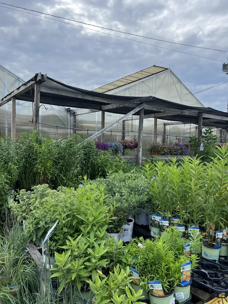 Professional yard maintenance in Queensbury, NY - Hewitts Garden Center- Queensbury