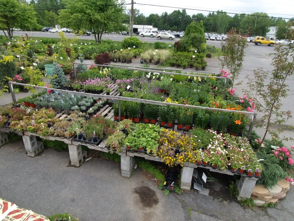 Trusted yard cleanup service near you in Queensbury, NY by Hewitts Garden Center- Queensbury