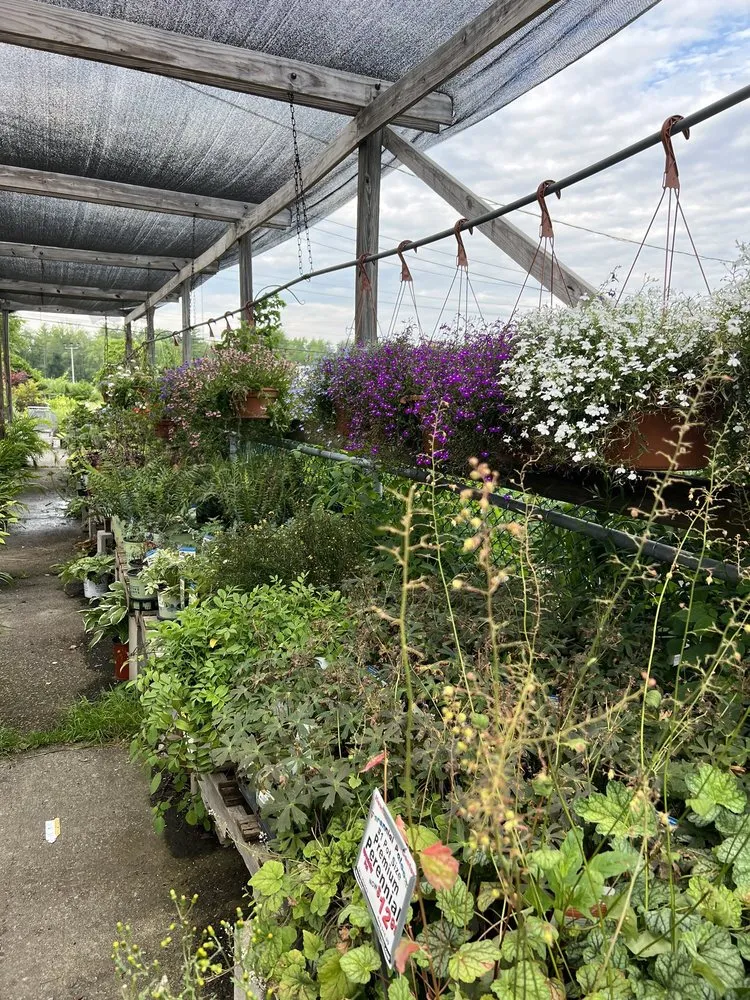 Trusted yard cleanup service for residential properties in Queensbury, NY by Hewitts Garden Center- Queensbury