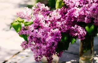 Custom yard maintenance experts serving Queensbury, NY - Hewitts Garden Center- Queensbury