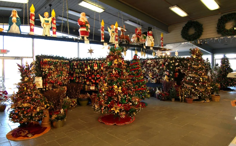 Top-rated yard cleanup service for residential properties in Queensbury, NY by Hewitts Garden Center- Queensbury