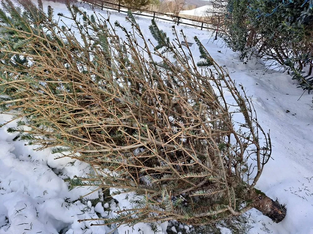 Local landscape installation near you across Clifton Park, NY - Hewitt's Garden Centers - Clifton Park